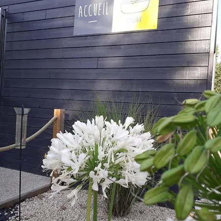 Camping Domaine Les Epinettes *