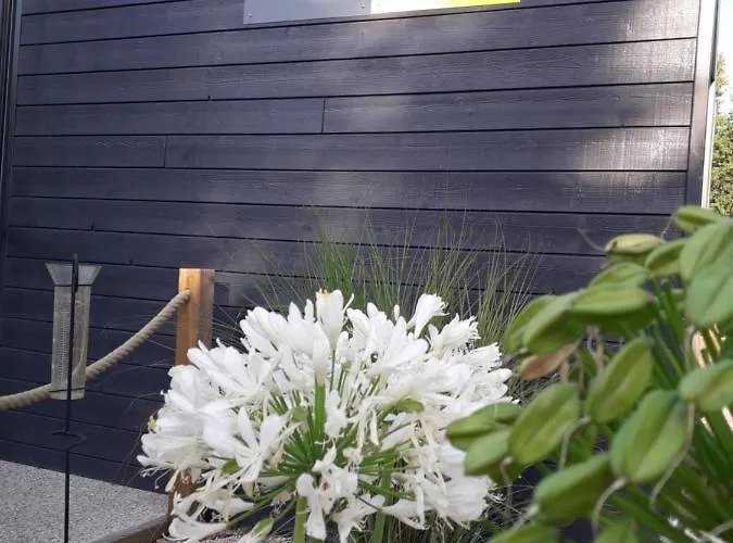 Campsite Domaine Les Epinettes *